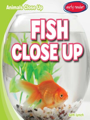 cover image of Fish Close Up